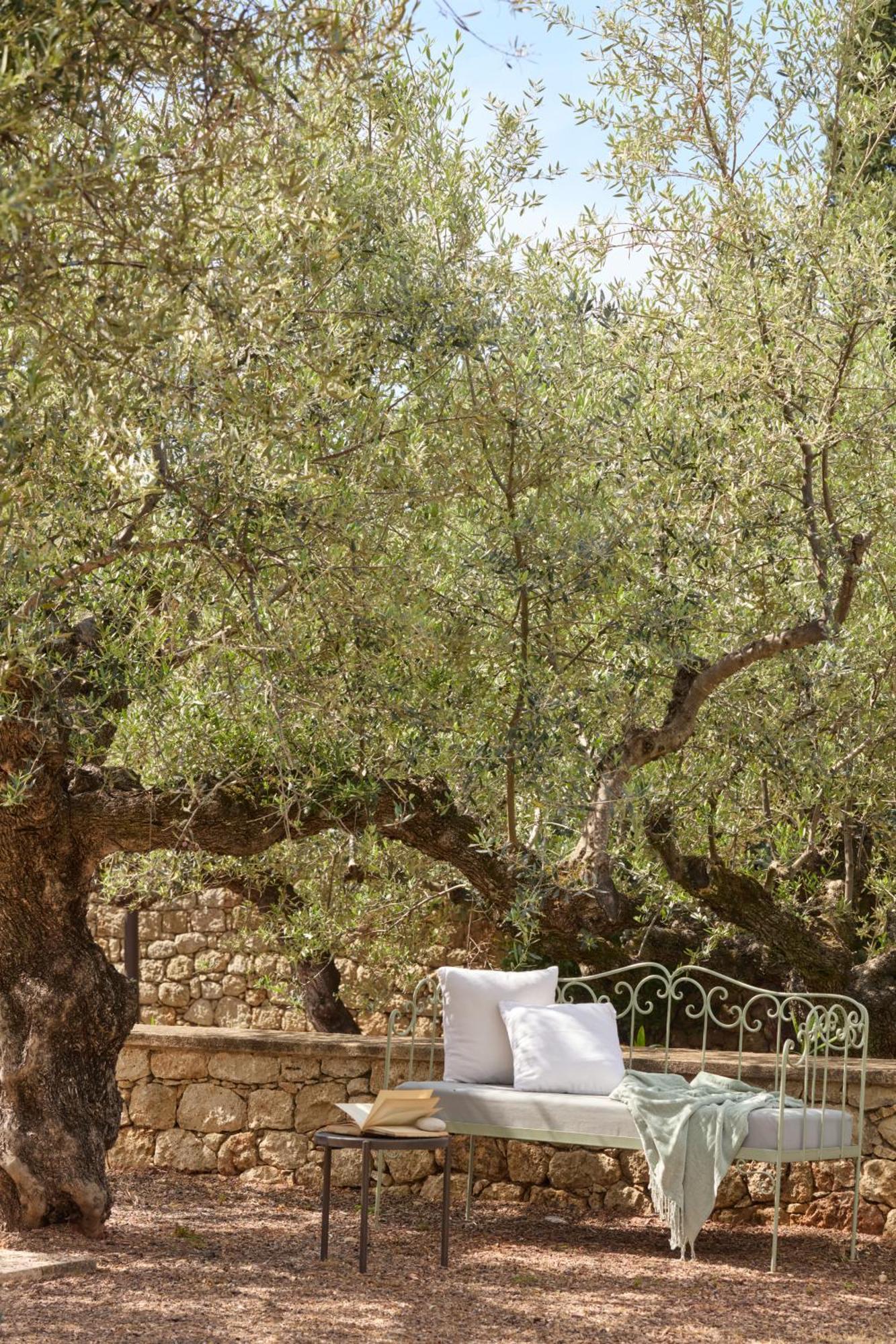 λιόδεντρα Διαμέρισμα